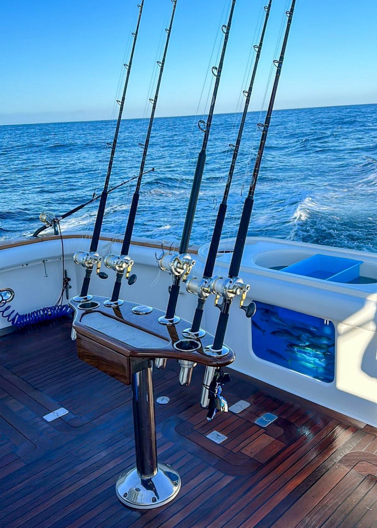 Signature Rocket Launcher 16"x42"